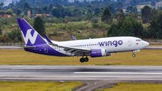 El Gobierno autorizó a la low cost Wingo a ampliar sus servicios.