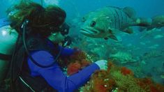 Esta increíble actividad invita a los turistas a conectarse con la naturaleza en Rio Negro Esta increíble actividad invita a los turistas a conectarse con la naturaleza en Rio Negro