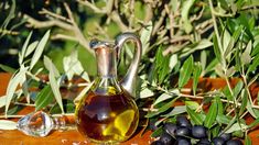 Este es el superalimento que ayuda a reducir el estrés y a nivelar el colesterol Este es el superalimento que ayuda a reducir el estrés y a nivelar el colesterol