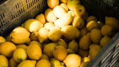 Los limones tuvieron un gran aumento de precios en noviembre. Los limones tuvieron un gran aumento de precios en noviembre.