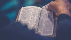 La Biblia llega a Steam en noviembre: cómo será el videojuego.