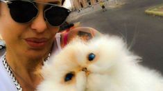 Habló el responsable de embalsamar al gato de Daniela Cardone: Me pidió que se lo haga sentado y lloró cuando se lo entregué Habló el responsable de embalsamar al gato de Daniela Cardone: Me pidió que se lo haga sentado y lloró cuando se lo entregué