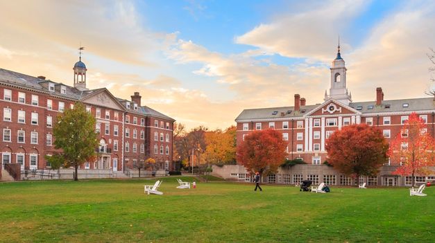 Expertos de la Universidad de Harvard revelaron que no es tan saludable consumir leche diariamente durante la adultez.