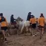 Personasmontadas a caballo bloquearon el paso de los runners y los agredieron. Personasmontadas a caballo bloquearon el paso de los runners y los agredieron.