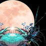 La Luna en Cáncer activa emociones profundas para tres signos astrales. La Luna en Cáncer activa emociones profundas para tres signos astrales.