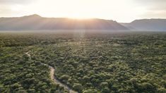Én Córdoba hay una reserva natural destacada por su belleza. Én Córdoba hay una reserva natural destacada por su belleza.
