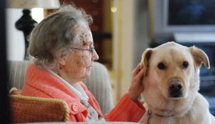 La iniciativa de ley buscar permitir entierros de personas con sus mascotas.