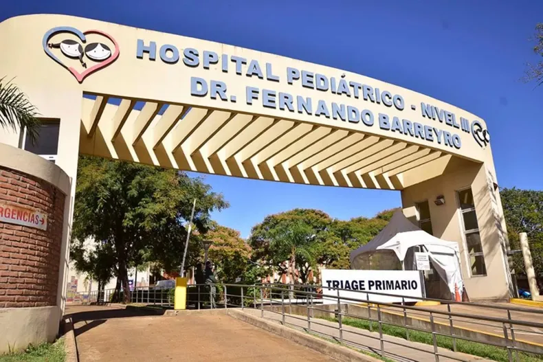 Ya hubo 9 muertes por dengue en Misiones desde el inicio del brote