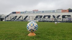 El Albo no contará con la presencia de hinchas en los próximos dos juegos. El Albo no contará con la presencia de hinchas en los próximos dos juegos.