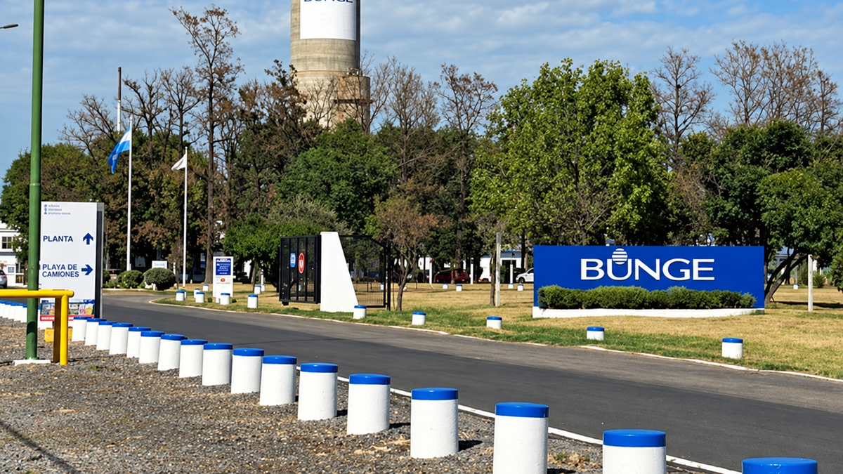Bunge cerró su planta en Campana y hay 250 puestos de trabajo en riesgo