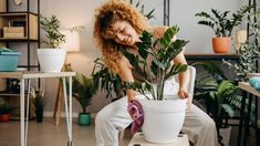 Rejuvenecé tus macetas viejas con este simple método y hacé que tus plantas luzcan más saludables. Rejuvenecé tus macetas viejas con este simple método y hacé que tus plantas luzcan más saludables.