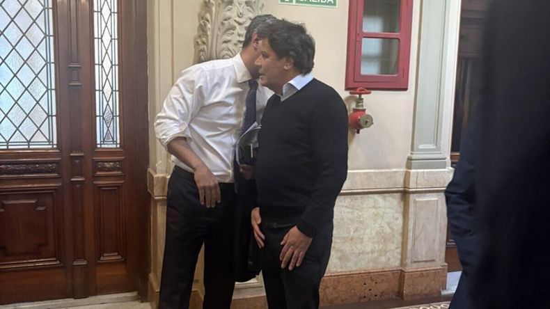 La foto que confirma que existió una conversación entre Menem y Manes.