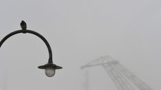 El Servicio Meteorológico Nacional lanzó una serie de advertencias por la neblina. El Servicio Meteorológico Nacional lanzó una serie de advertencias por la neblina.