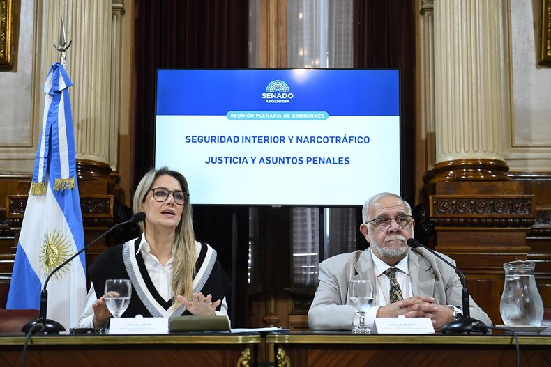 Losada y Pagotto encabezaron el plenario de comsiones.