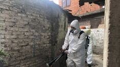 Desde el Malbrán señalaron que fumigar debería ser la última opción para combatir el Aedes aegypti. Desde el Malbrán señalaron que fumigar debería ser la última opción para combatir el Aedes aegypti.