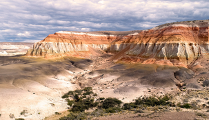 El bosque petrificado revela cómo era la región patagónica en la era de los dinosaurios.