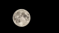 Noche del lobo: cómo afectará la luna llena. Noche del lobo: cómo afectará la luna llena.