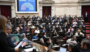 El texto completo presentado en la Cámara de Diputados.