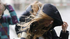 Los vientos del sector oeste afectarán el sur de la Patagonia. Los vientos del sector oeste afectarán el sur de la Patagonia.