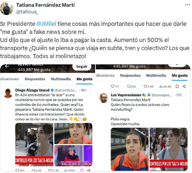 La respuesta de Tatiana Fernández Martí dirigida a Javier Milei.