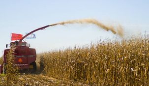 La alícuota a los derechos de importación no formaría parte de la agenda.