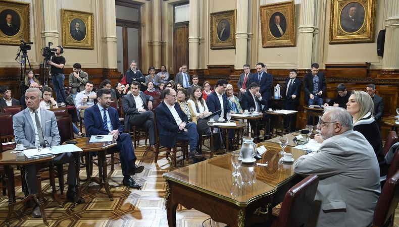 El plenario de comisiones del Senado debatió sobre el proyecto.