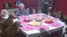 La abuela festejó su cumpleaños sentada junto a sus 10 perros. La abuela festejó su cumpleaños sentada junto a sus 10 perros.
