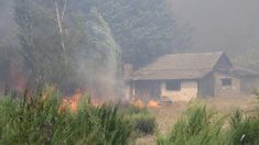 Los incendios en la Patagonia arrasaron con todo a su paso. Los incendios en la Patagonia arrasaron con todo a su paso.