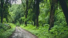 La reserva que está en Argentina y pocos conocen. La reserva que está en Argentina y pocos conocen.