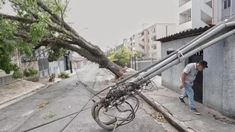 Por las fuertes tormentas, murieron 8 personas luego de la caída de árboles. Por las fuertes tormentas, murieron 8 personas luego de la caída de árboles.