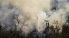 El fuego se originó hace más de una semana en la localidad de Yuto. El fuego se originó hace más de una semana en la localidad de Yuto.