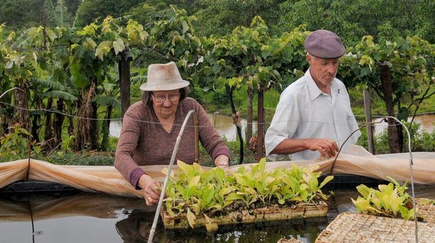 La justificación del Gobierno por el cierre de dos organismos públicos: Achicar el Estado