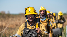 El universo potencial al que aspira el proyecto de ley es de 876 trabajadores.