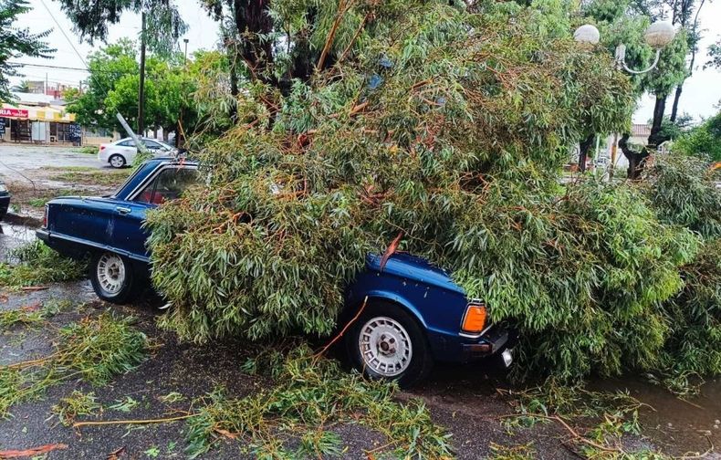 El temporal en el AMBA y otros puntos del país dejó destrozos.