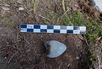 El material hallado en el territorio de Río Negro.