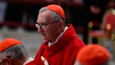 Parolin señaló que la guerra ha tenido consecuencias desastrosas e inhumanas. Parolin señaló que la guerra ha tenido consecuencias desastrosas e inhumanas.