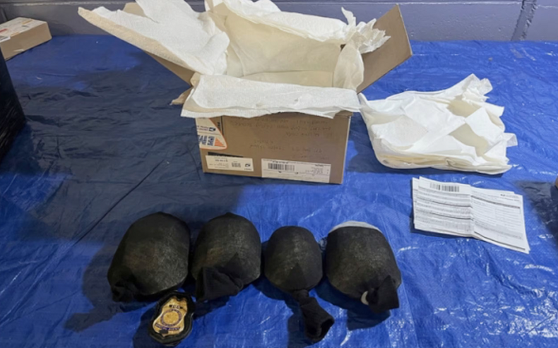 Detuvieron a un hombre por intentar enviar 850 tortugas a Hong Kong.