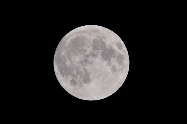 La NASA realizó un experimento que permitiría cultivar en la Luna.