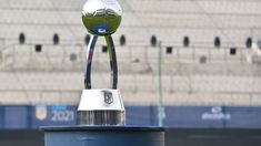 El trofeo de la Copa de la Liga Profesional. El trofeo de la Copa de la Liga Profesional.