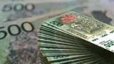 El beneficio está destinado para quienes perciben Aisgnación Universal por Hijo (AUH) y titulares del Sistema Único de Asignaciones Familiares (SUAF). El beneficio está destinado para quienes perciben Aisgnación Universal por Hijo (AUH) y titulares del Sistema Único de Asignaciones Familiares (SUAF).