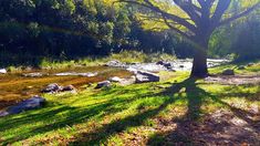 En Córdoba hay un pueblito que se perfila como una opción natural y genial para el verano. En Córdoba hay un pueblito que se perfila como una opción natural y genial para el verano.