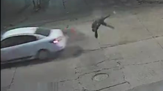 El motociclista no llevaba casco y salvó su vida de milagro. El motociclista no llevaba casco y salvó su vida de milagro.