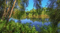 Viajar al Delta del Paraná es ideal para descansar, escuchar el sonido de la fauna autóctona y desconectar del ruido de la ciudad.&nbsp;