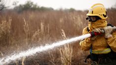 se inicia el pase a la planta permanente para brigadistas forestales de todo el pais se inicia el pase a la planta permanente para brigadistas forestales de todo el pais