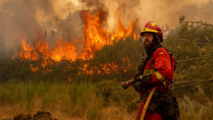 Se reportaron tres muertos por los incendios. Se reportaron tres muertos por los incendios.