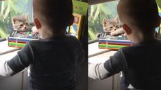 El tierno video de Lorenzo Tinelli con su nueva mascota, Dani El tierno video de Lorenzo Tinelli con su nueva mascota, Dani