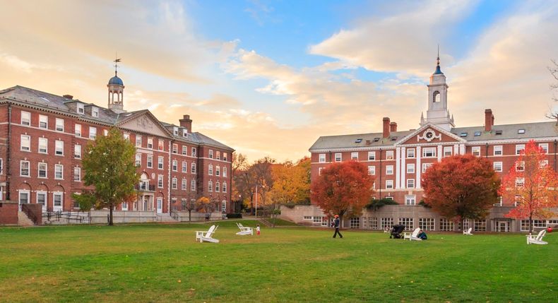 La Universidas de Harvard reveló que la lenteja es una superlegumbre capaz de prevenir enfermedades crónicas y recomienda consumirla más de tres veces por semana.