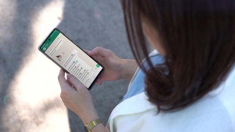 Se podrán realizar consultas