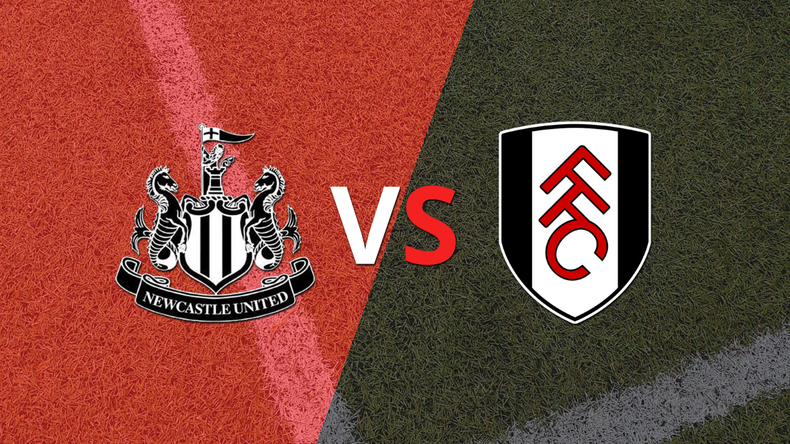 Newcastle United le ganó 1-0 como local a Fulham