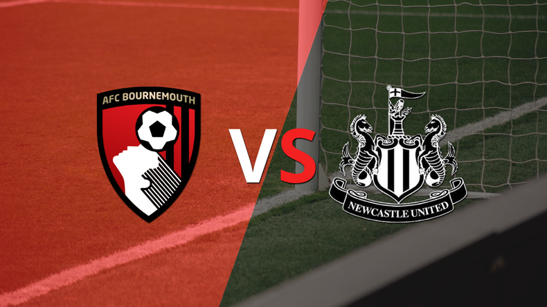 Bournemouth logró sacar el empate de local frente a Newcastle United